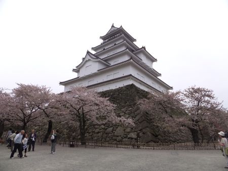 鶴ヶ城の桜(1)/2012.4.30