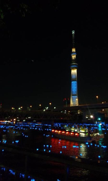東京ホタル(7)/東京スカイツリーのライトアップと共に/2012.5.6