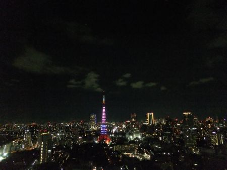 東京タワー「ダイヤモンドヴェール・ブルー＆ピンク」(1)／2012.9.8