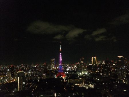 東京タワー「ダイヤモンドヴェール・ブルー＆ピンク」(2)／2012.9.8