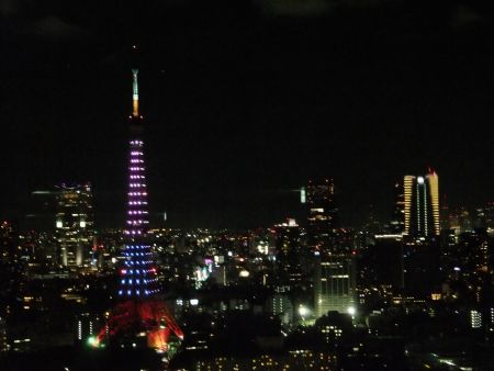 東京タワー「ダイヤモンドヴェール・ブルー＆ピンク」(4)／2012.9.8