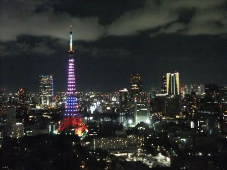 東京タワー「ダイヤモンドヴェール・ブルー＆ピンク」(5)／2012.9.8