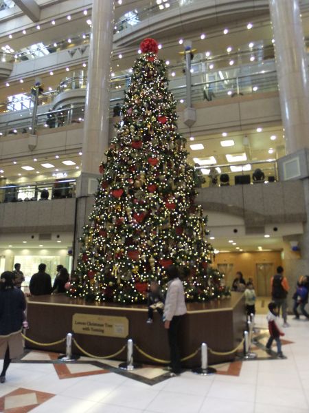 ランドマークプラザのクリスマスツリー 2012(1)/2012.11.25