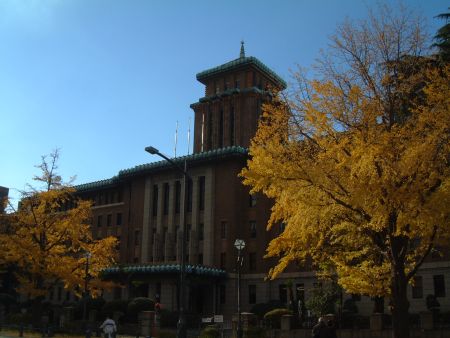 神奈川県庁といちょう並木(1)/2012.12.1