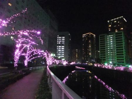 SMART 目黒川みんなのイルミネーション 2012(2)/2012.12.7