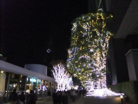 新宿サザンライツ 2012～2013(2)/2012.12.7