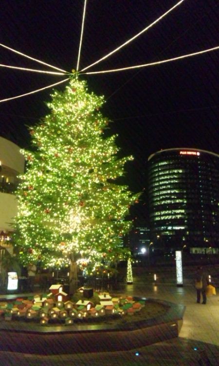 横浜ベイクォーターのクリスマスツリー(2)/2012.12.13