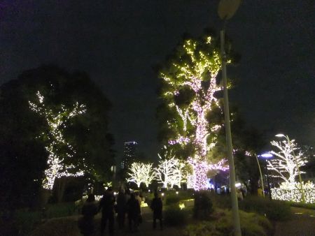 東京ミッドタウン クリスマスイルミネーション 2012(6)/2012.12.17