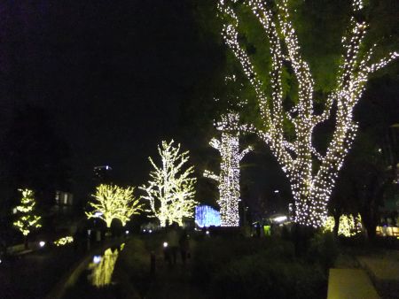 東京ミッドタウン クリスマスイルミネーション 2012(7)/2012.12.17