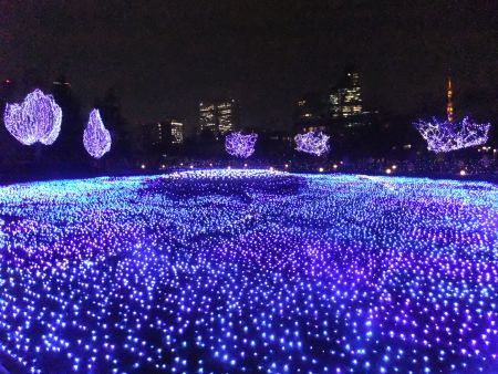 東京ミッドタウン クリスマスイルミネーション 2012(9)/2012.12.17