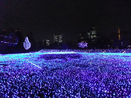 東京ミッドタウン クリスマスイルミネーション 2012(10)/2012.12.17