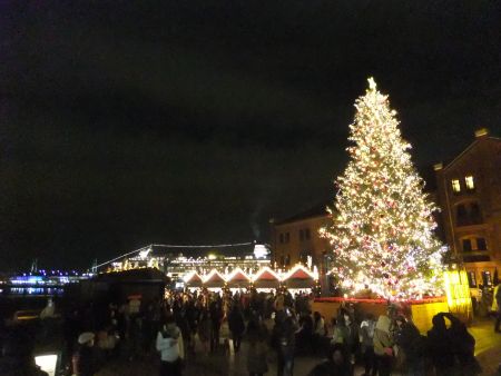 横浜赤レンガ倉庫のクリスマスツリー 2012(3)/2012.12.21