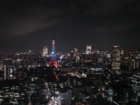 東京タワー「2020年オリンピック・パラリンピック招致 スペシャルダイヤモンドヴェール＆2020」(1)／2013.3.4