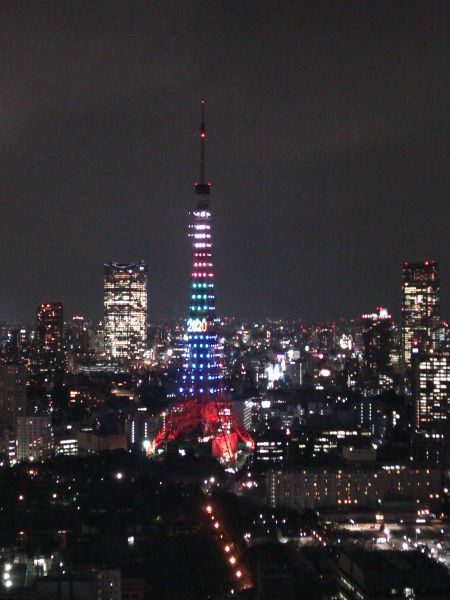 東京タワー「2020年オリンピック・パラリンピック招致 スペシャルダイヤモンドヴェール＆2020」(3)／2013.3.4