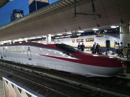 秋田新幹線E6系 スーパーこまち12号 東京行き(1)/東京駅/2013.3.19