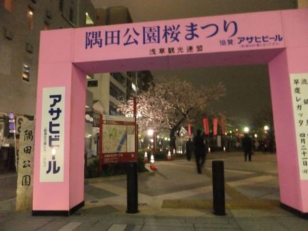 隅田公園の夜桜（1)/2013.3.27