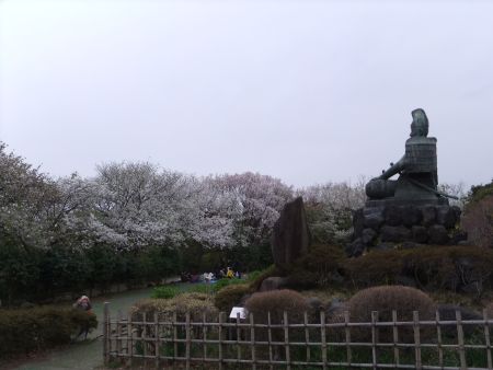 源氏山公園の桜（3)/2013.3.30