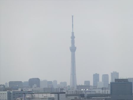 東京ゲートブリッジから眺める東京スカイツリー(2)／2013.6.30