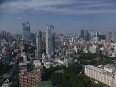 東京タワーから眺める東京スカイツリー(1)/2013.7.21 border=