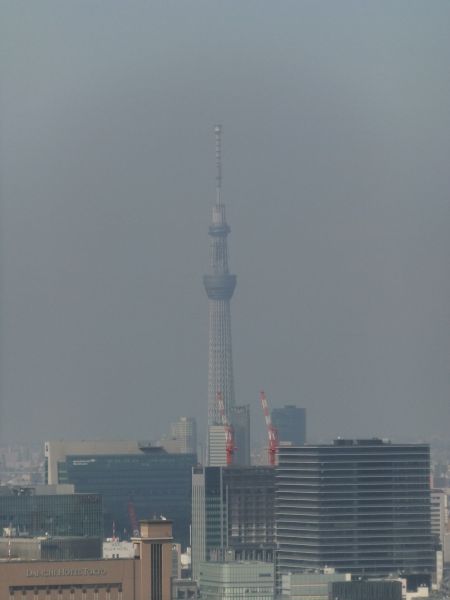 東京タワーから眺める東京スカイツリー(3)/2013.7.21 border=