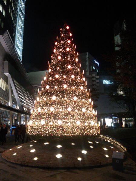 六本木ヒルズのクリスマスツリー 2013/2013.11.15