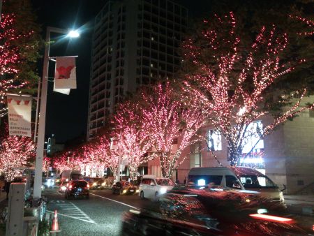 けやき坂のイルミネーション＋東京タワー(3)/2013.11.15