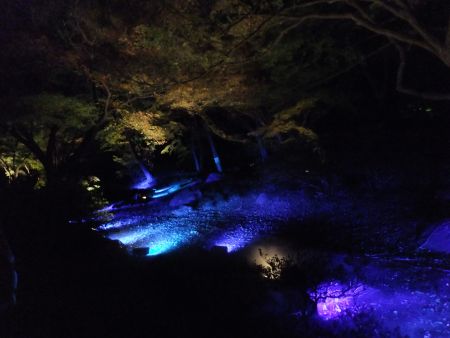 六義園 紅葉の大名庭園ライトアップ(4)/2013.11.27