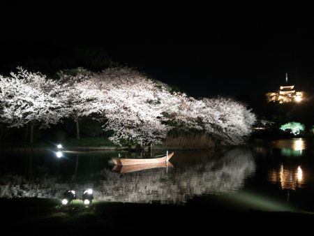 三渓園の夜桜(2)/2014.3.31