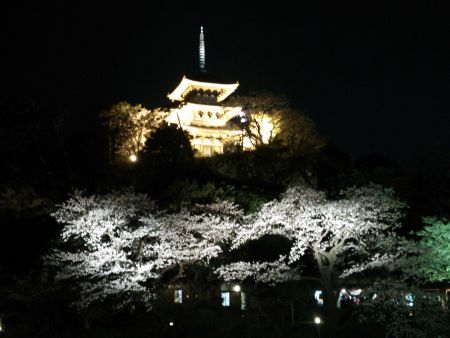 三渓園の夜桜(4)/2014.3.31