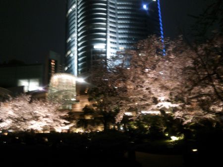 毛利庭園の夜桜(1)/2014.4.5