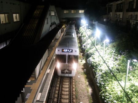 井の頭線 東松原駅 あじさいのライトアップ(5)/2014.6.18