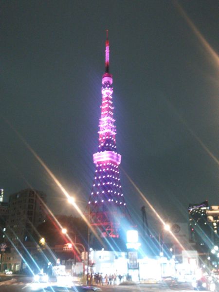 東京タワー「ダイヤモンドヴェール・ドリームピンク」(1)／2014.10.1