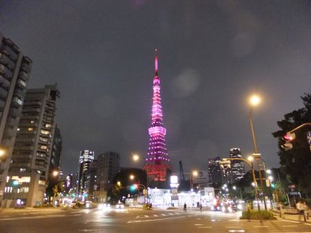 東京タワー「ダイヤモンドヴェール・ドリームピンク」(2)／2014.10.1