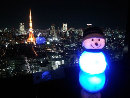 シーサイド・トップから望む東京タワー(2)／2015.1.9