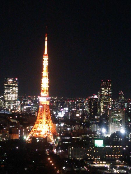 シーサイド・トップから望む東京タワー(3)／2015.1.9
