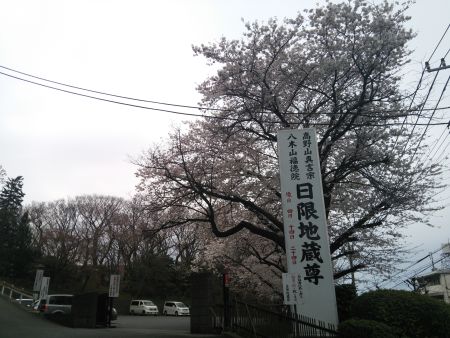 横浜・日限地蔵尊の桜(1)/2015.3.28