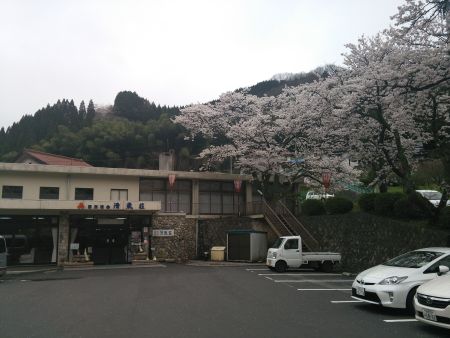 出雲湯村温泉の桜(2)/2015.4.4