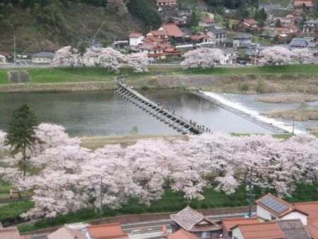 木次公園から眺める願い橋と桜/2015.4.4