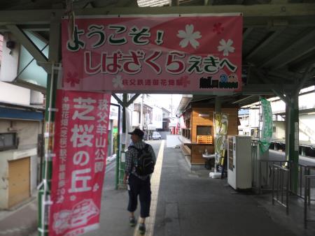 秩父鉄道 芝桜駅（御花畑駅）(1)/2015.4.24