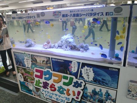 八景島シーパラダイスのＰＲ／ＪＲ横浜駅(2)/2015.7.31