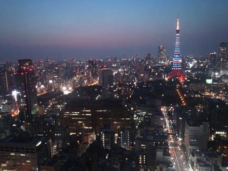 東京タワー「東京マラソン2016開催記念特別ライトアップ」(2)／2016.2.27