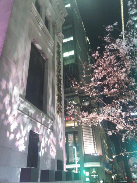 日本橋三越近くの桜(1)/2016.3.30