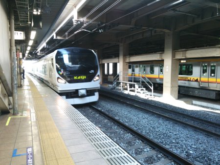 E257系 特急 かいじ107号 甲府行き／立川駅/2015.11.5