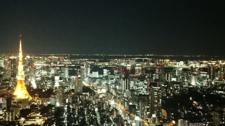 東京シティビュー・スカイデッキから眺める東京タワー/2017.1.6