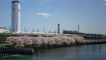京浜運河沿いの桜と回送中のN700系/2017.4.12