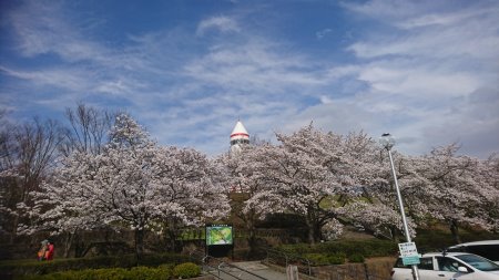 臼田コスモタワーと桜(2)/2017.4.22