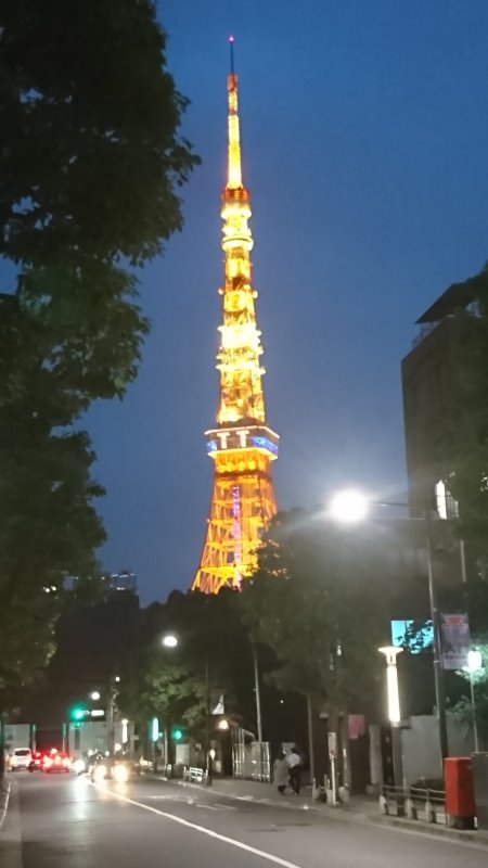東京タワー・ライトアップ「TWICE TTコラボレーション」/2017.6.29