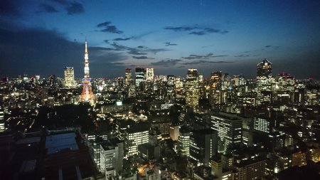 シーサイド・トップから望む東京タワー・夏のランドマークライト(1)／2017.7.31