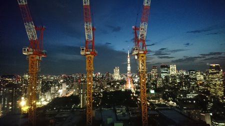 シーサイド・トップから望む東京タワー・夏のランドマークライト(2)／2017.7.31