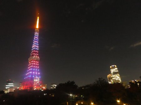 東京タワー「マジック・ハロウィン ダイヤモンドヴェール」(3)/2017.10.31